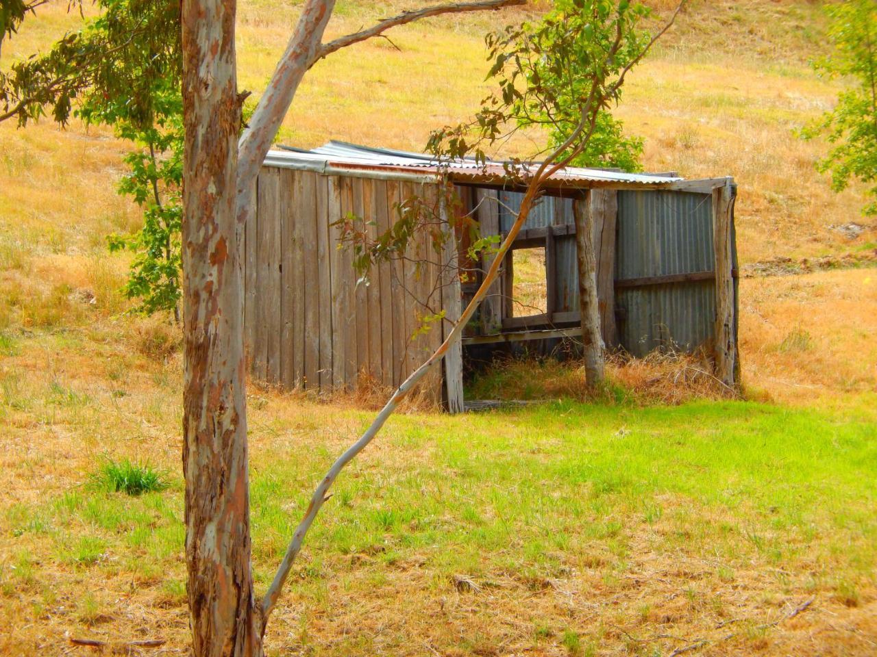 Morialta Barns Bed and Breakfast Norton Summit Buitenkant foto